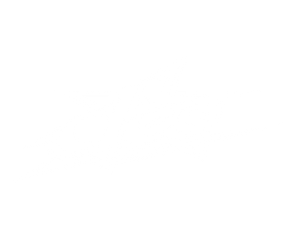 svndes